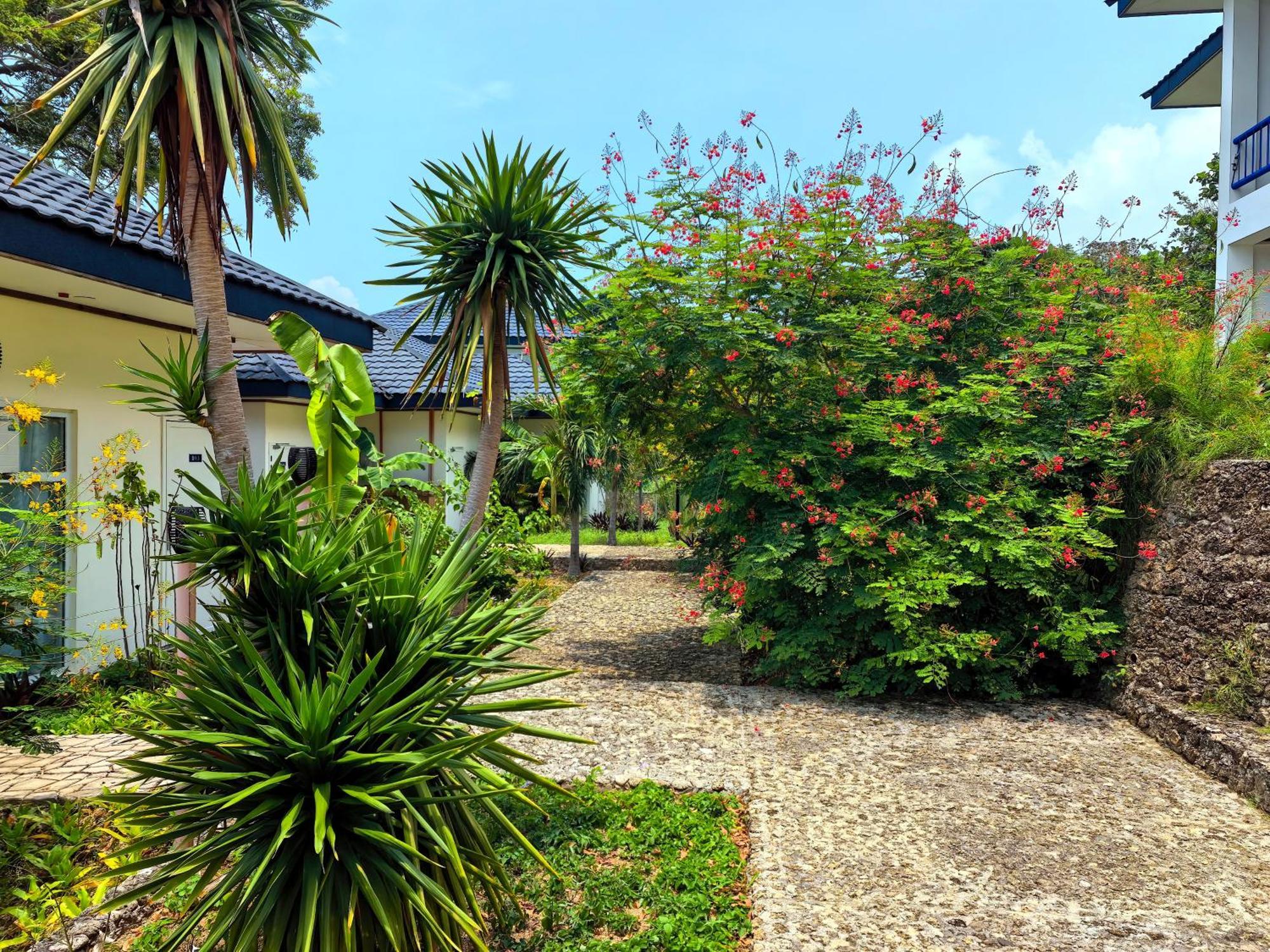 Blue Joys Msr Hotel Siquijor Exterior foto